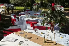 Domaine-de-la-Nerthe-1