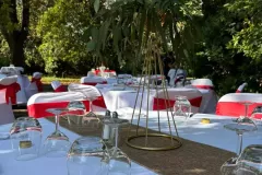 Domaine-de-la-Nerthe-2